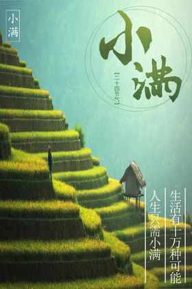 小满万物长传统节气麦子
