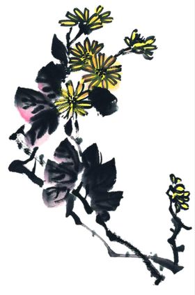 菊花装饰