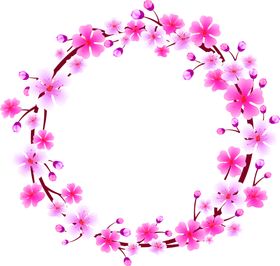 鲜花素材桔梗真勿忘我粉玫瑰