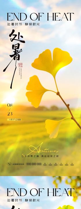 清新自然夏至节气海报