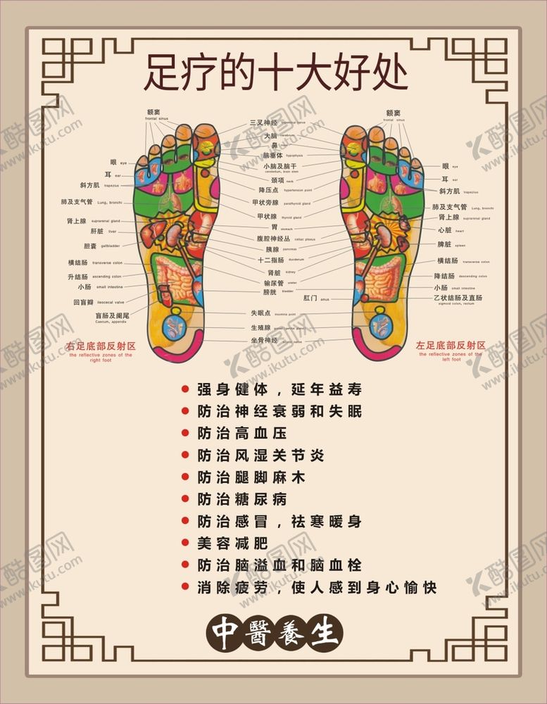 编号：24158001290245365157【酷图网】源文件下载-足部经络