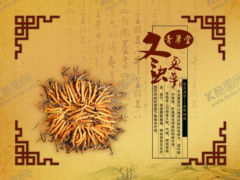 编号：49852109181127082947【酷图网】源文件下载-虫草介绍