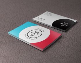 名片样机礼品卡VISVI