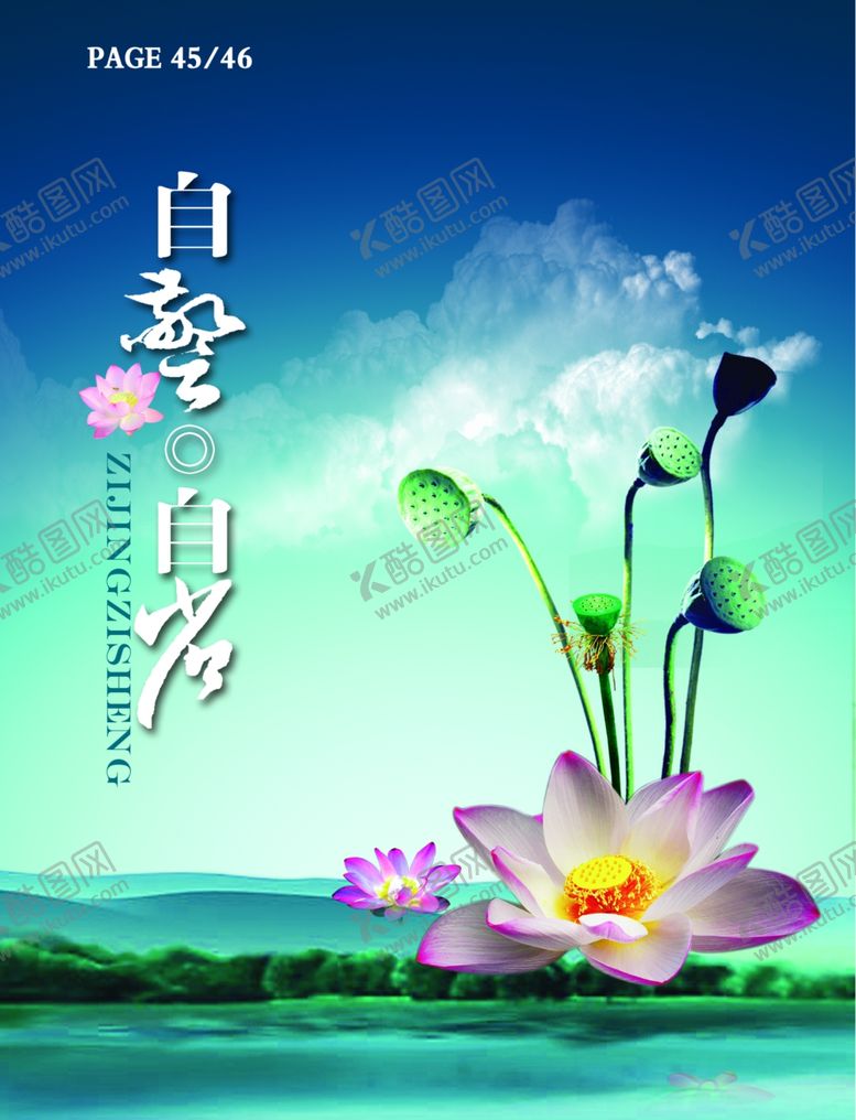 编号：52217301251451331050【酷图网】源文件下载-荷花素材荷叶莲蓬莲花