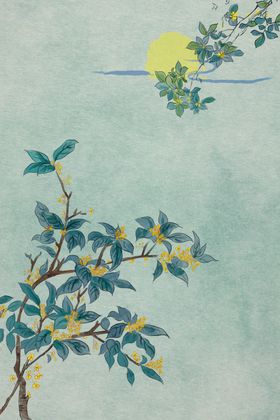 鲜花海报图片