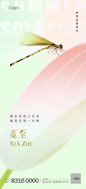 夏至节气海报