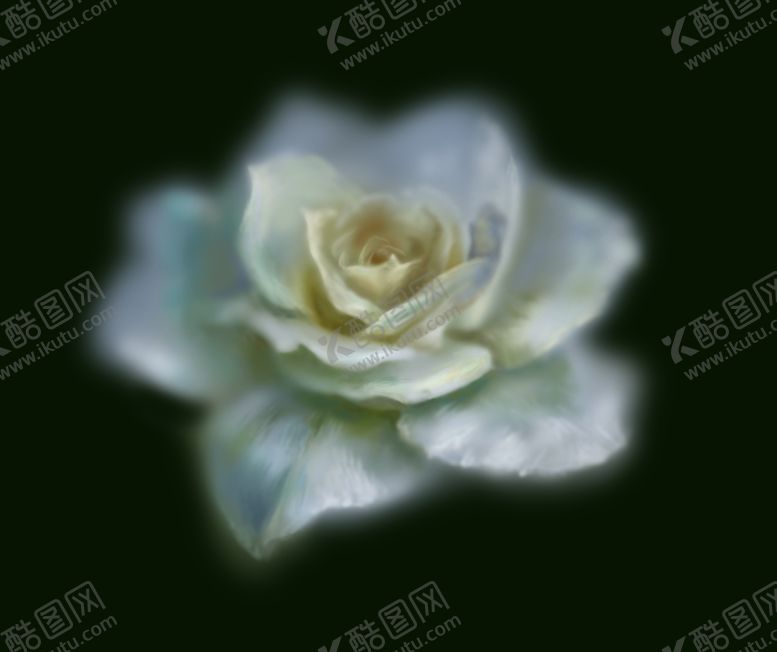 编号：71798605171941215839【酷图网】源文件下载-白玫瑰免抠油画手绘写实唯美朦胧