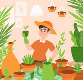 盆景盆栽AI设计素材AI矢量图绿色植物