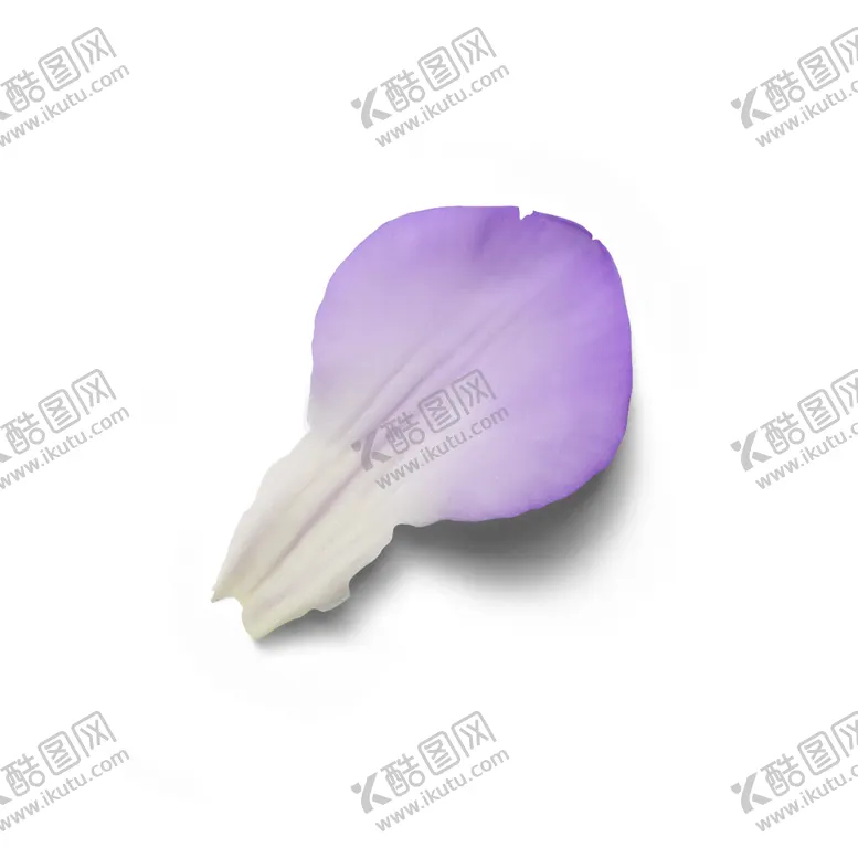 编号：39979107020734405022【酷图网】源文件下载-花瓣
