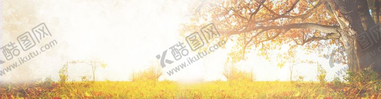 编号：91835206280010048825【酷图网】源文件下载-阳光草坪树木