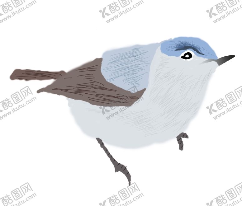 编号：35253409251518241977【酷图网】源文件下载-手绘麻雀