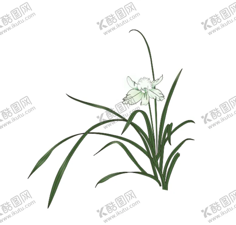 编号：41750812161129526675【酷图网】源文件下载-兰花
