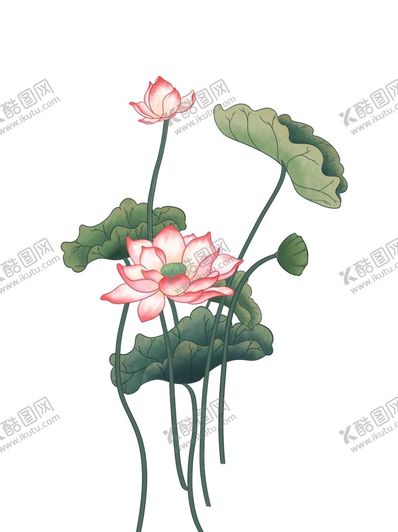 编号：94117312090355443752【酷图网】源文件下载-手绘荷花