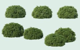 园林景观绿植草地装饰元素
