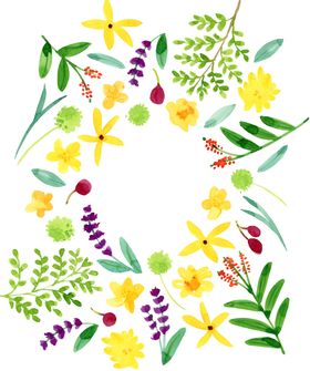 花草边框