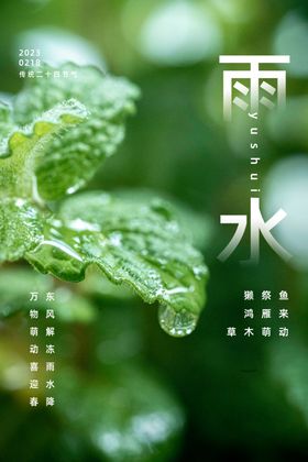 雨水节气海报