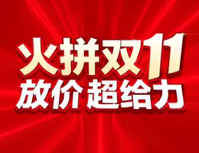 双11标语