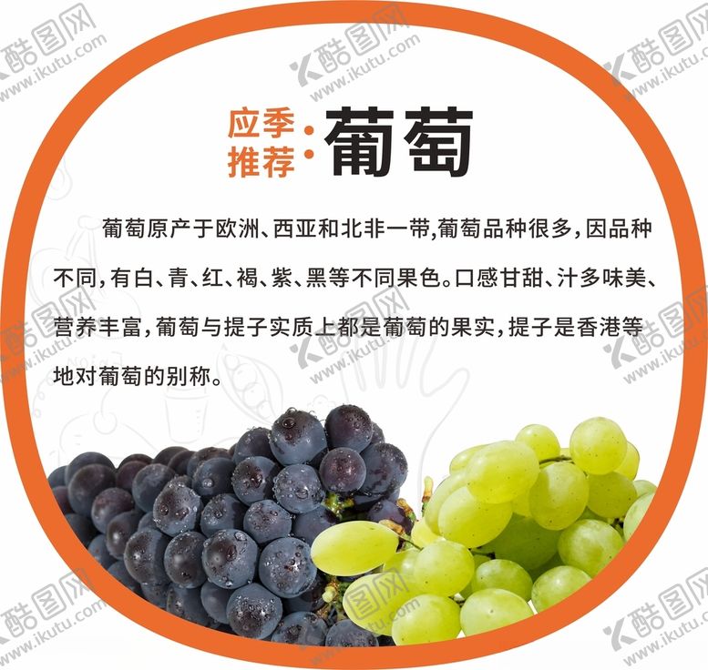 编号：43638101271106046759【酷图网】源文件下载-葡萄