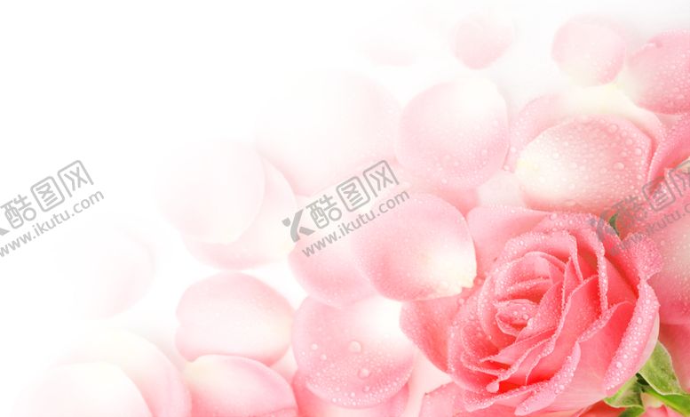 编号：88303409240705118641【酷图网】源文件下载-浪漫素材