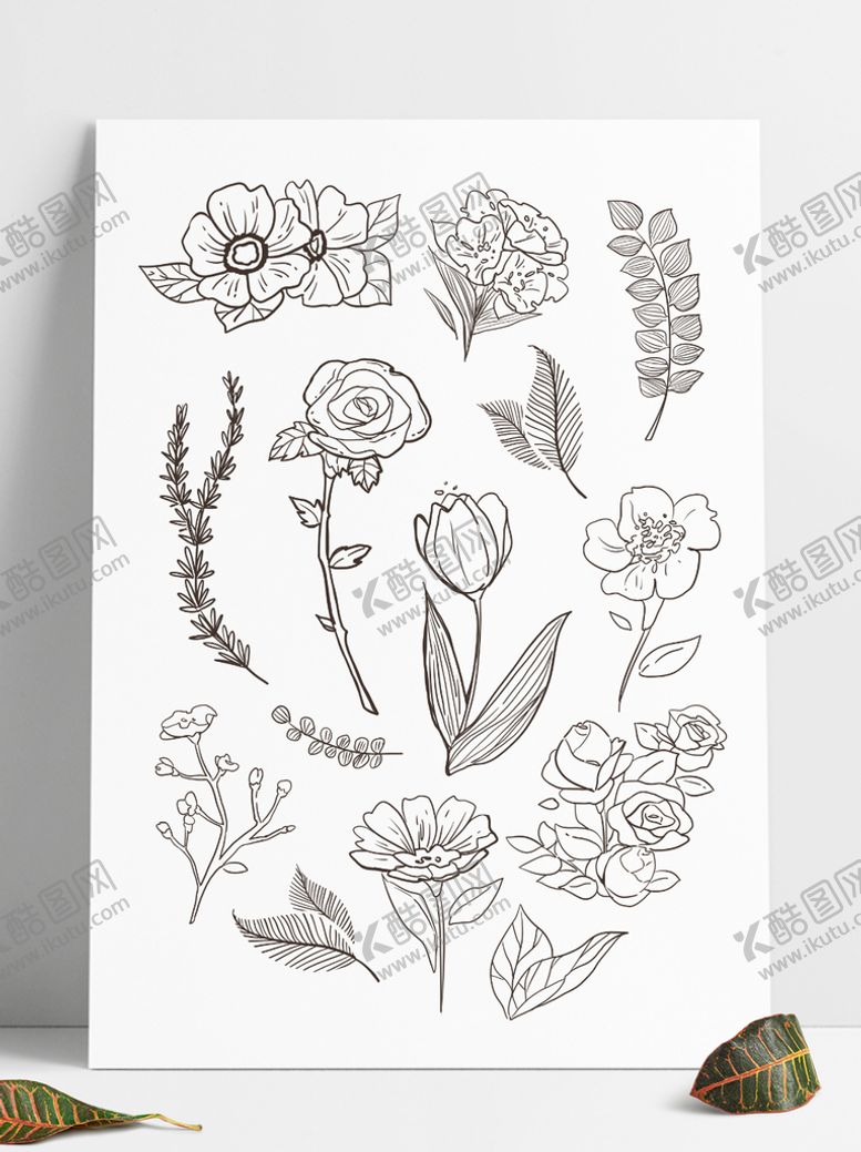 编号：63148510101825382586【酷图网】源文件下载-线描素描植物