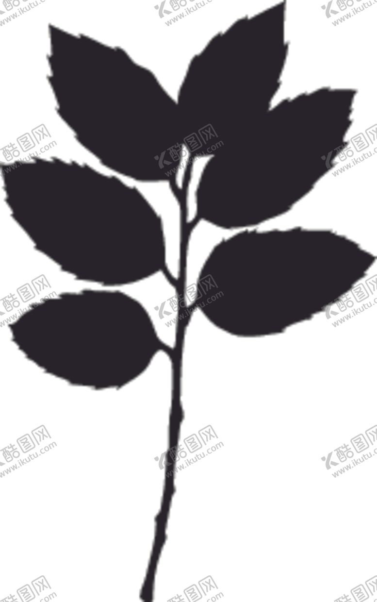 编号：24159607091722304658【酷图网】源文件下载-植物系列树叶