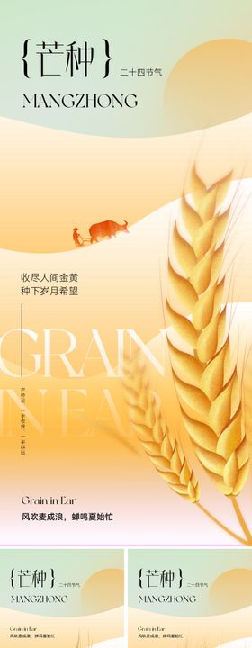 地产美业芒种节气海报