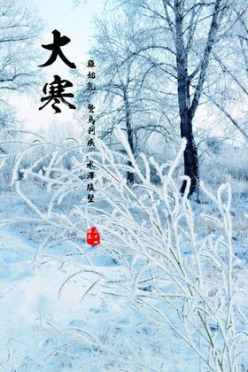 大寒海报