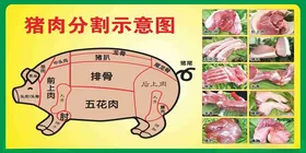 猪肉分割示意图五花肉