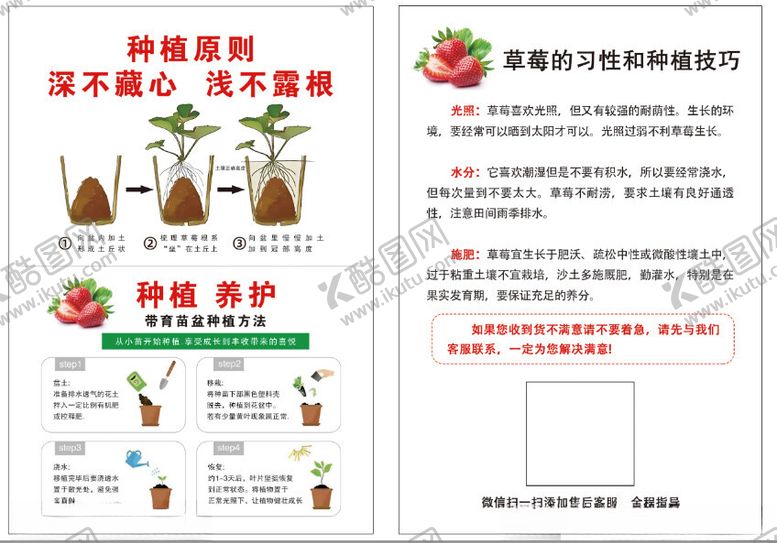 编号：16286602180126419208【酷图网】源文件下载-草莓种植方法技巧