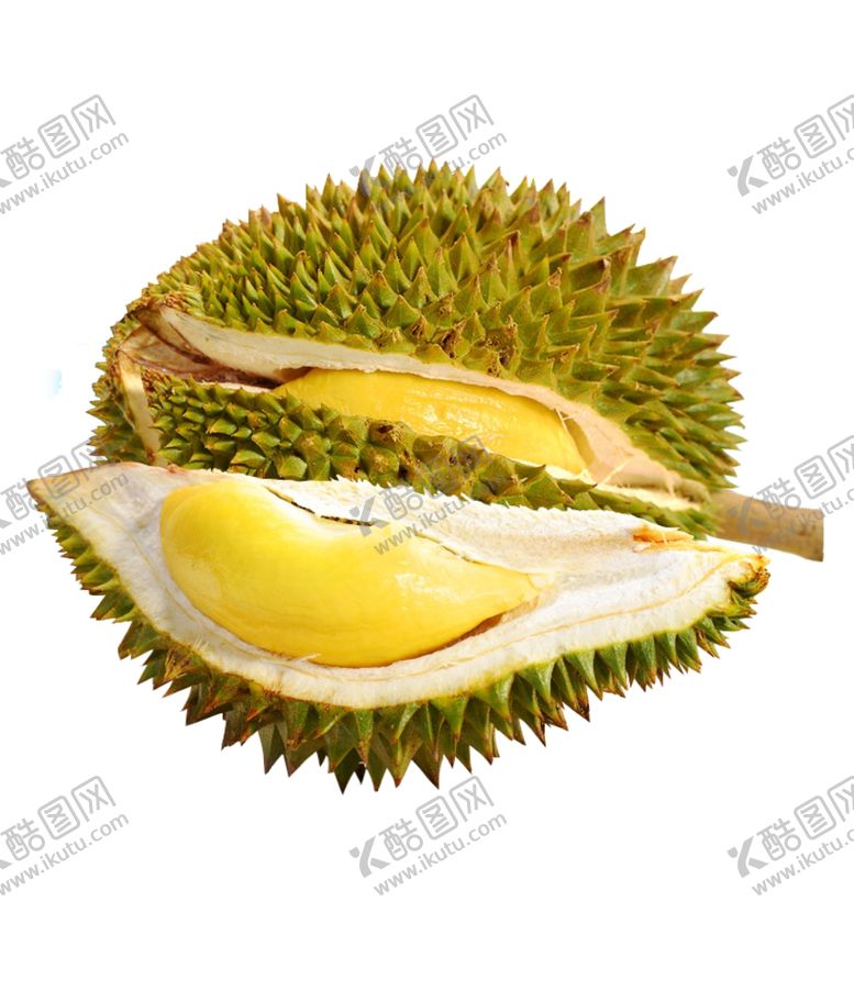 编号：87333410210043553533【酷图网】源文件下载-榴莲素材