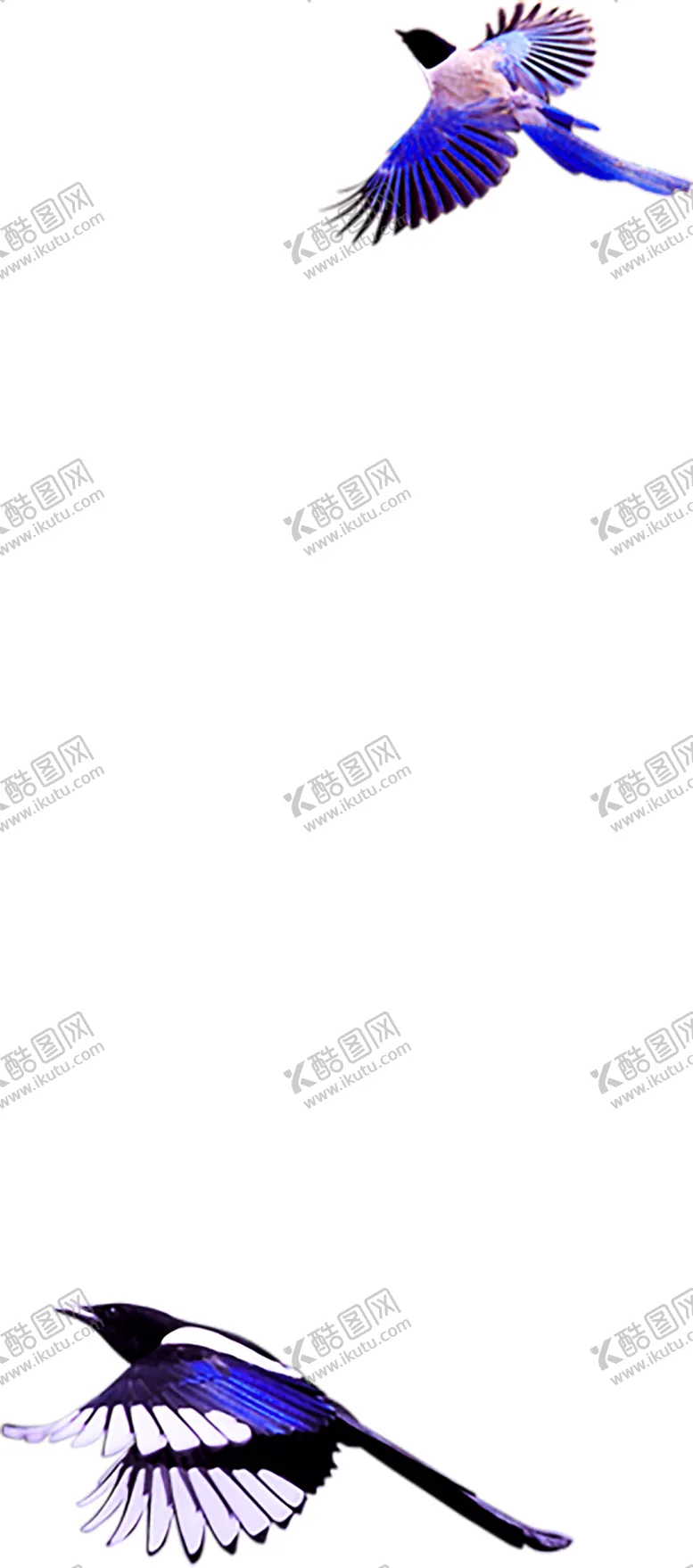编号：71935506271608158427【酷图网】源文件下载-浪漫素材