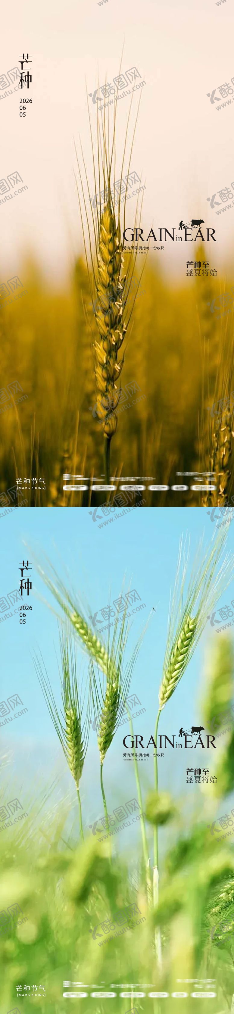 编号：81361805312351283649【酷图网】源文件下载-芒种海报