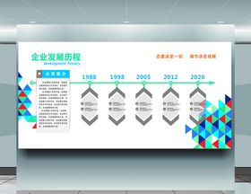 企业发展历程
