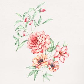 手绘花朵