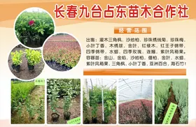 宣传彩页