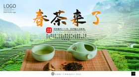 春茶来了
