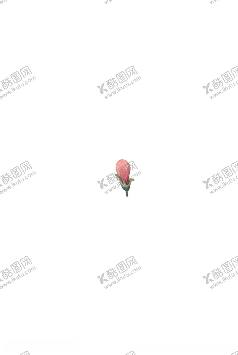 编号：32535909240600418401【酷图网】源文件下载-花朵