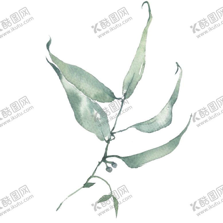 编号：93613805160726435603【酷图网】源文件下载-小清新水彩植物树枝