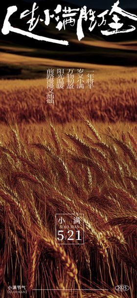 小满520节日海报