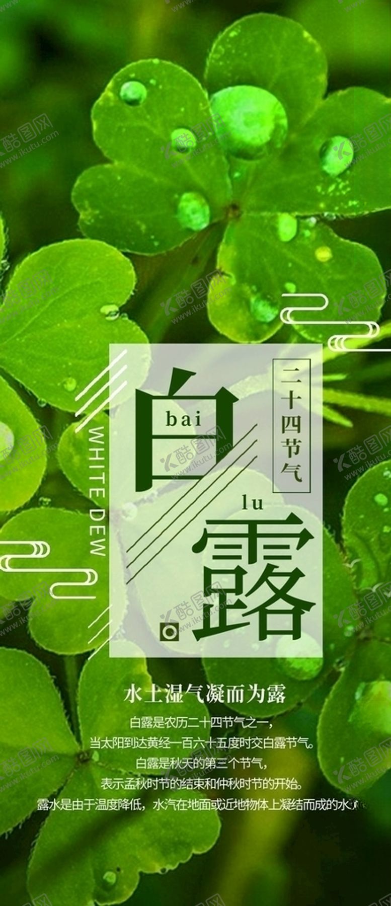 编号：99335105121140296243【酷图网】源文件下载-白露