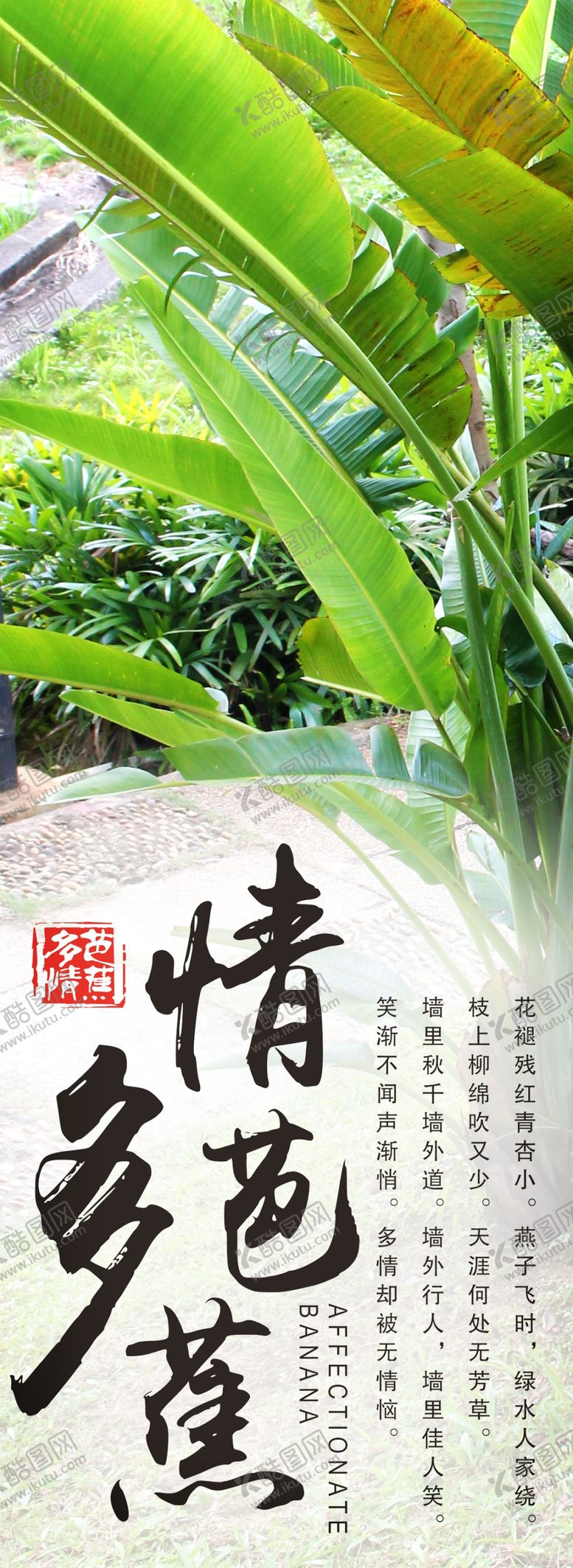 编号：35314106280839012786【酷图网】源文件下载-香蕉叶