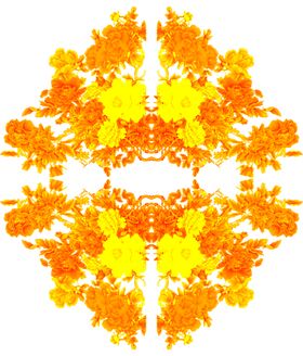 富贵花纹
