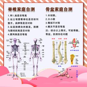 盆骨修复