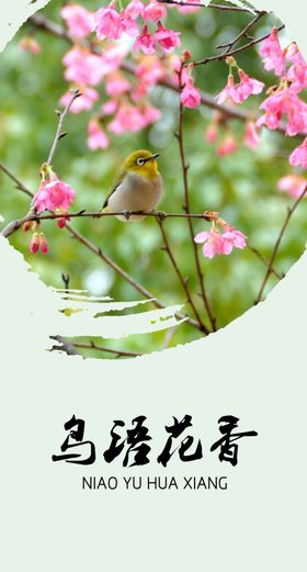 鸟语花香