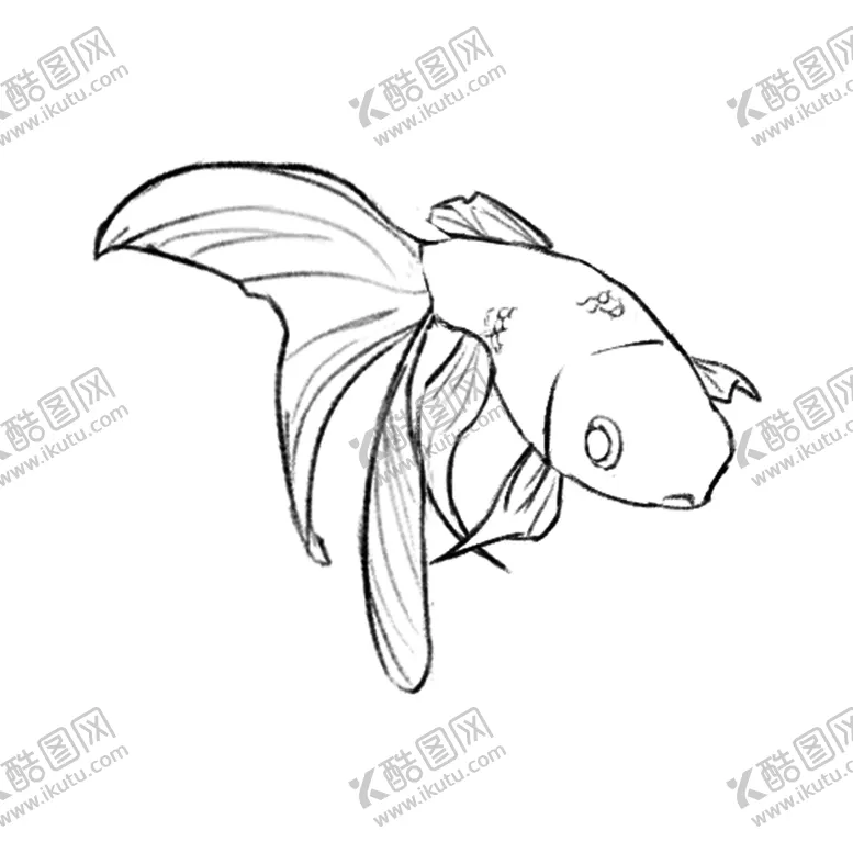 编号：93079206150033318103【酷图网】源文件下载-金鱼线稿