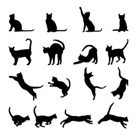 猫剪影
