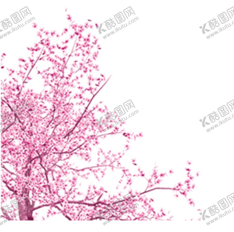 编号：17014110152007386106【酷图网】源文件下载-樱花 