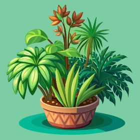 盆栽 绿色植物插图