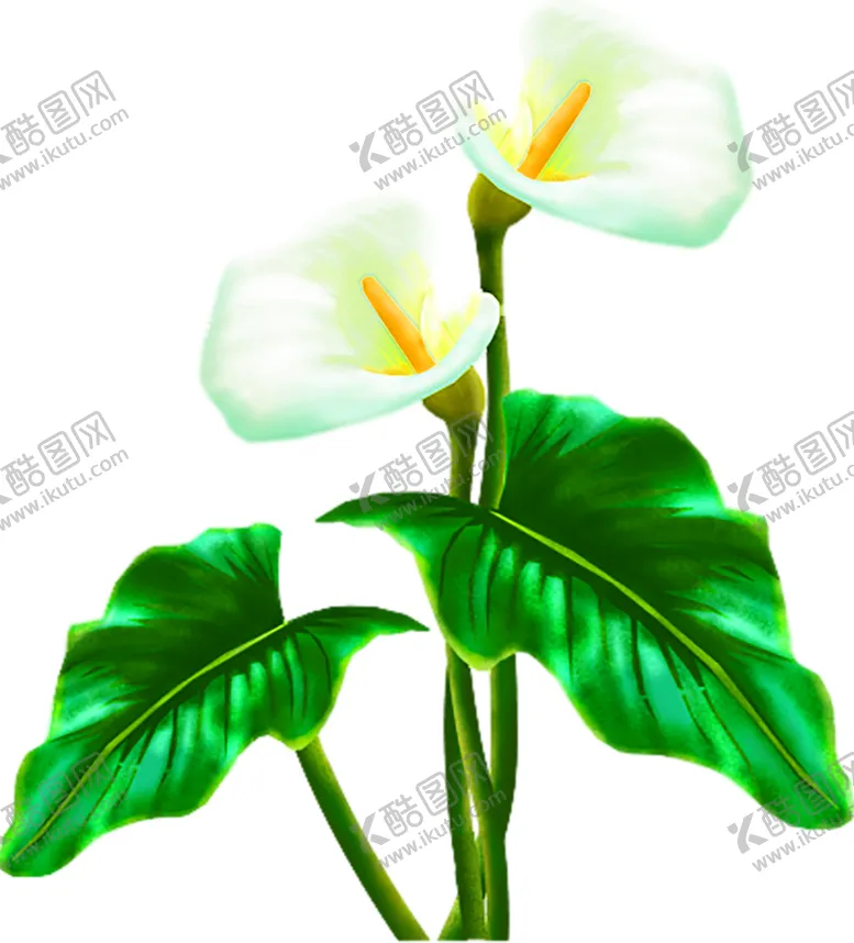 编号：13133407010054352985【酷图网】源文件下载-鲜花装饰