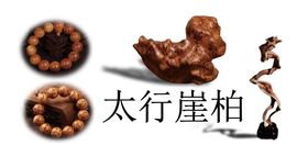 太行崖柏